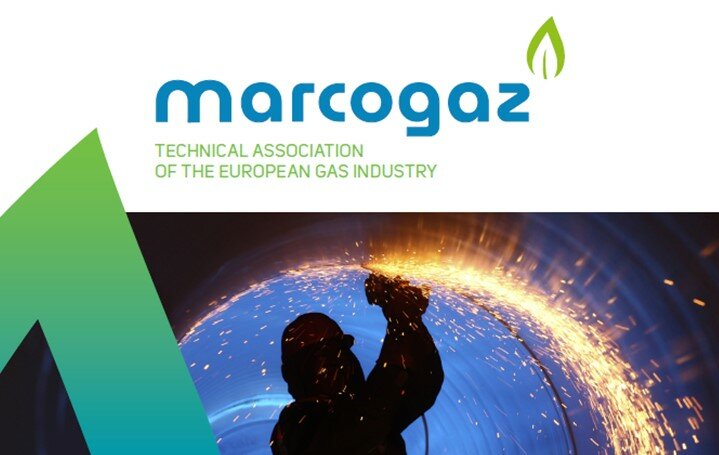 Title Report of the Annual Report MARCOGAZ 2020/2021